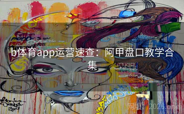 b体育app运营速查：阿甲盘口教学合集  第2张