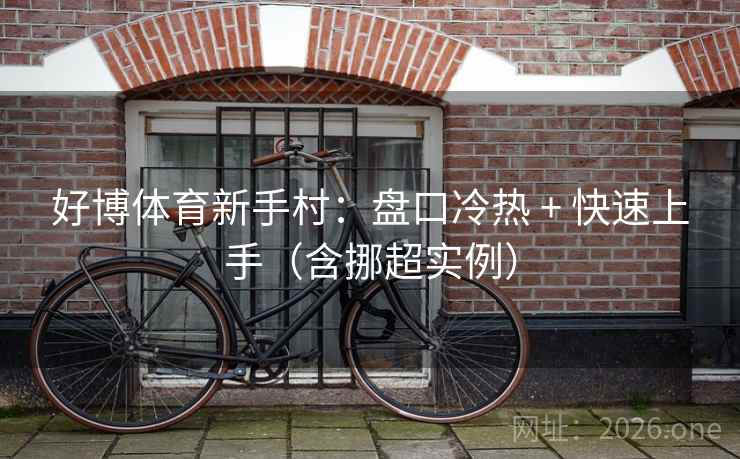 好博体育新手村：盘口冷热 + 快速上手（含挪超实例）  第2张