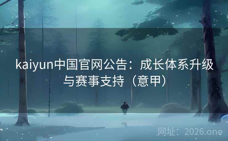 kaiyun中国官网公告：成长体系升级与赛事支持（意甲）