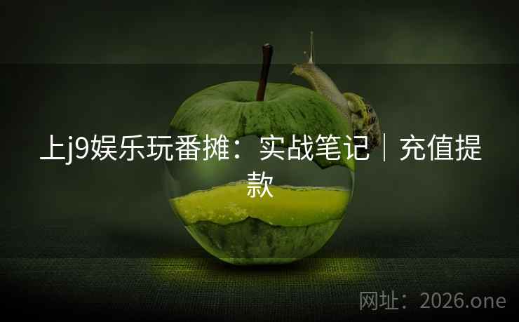 上j9娱乐玩番摊：实战笔记｜充值提款  第2张