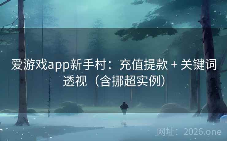 爱游戏app新手村：充值提款 + 关键词透视（含挪超实例）